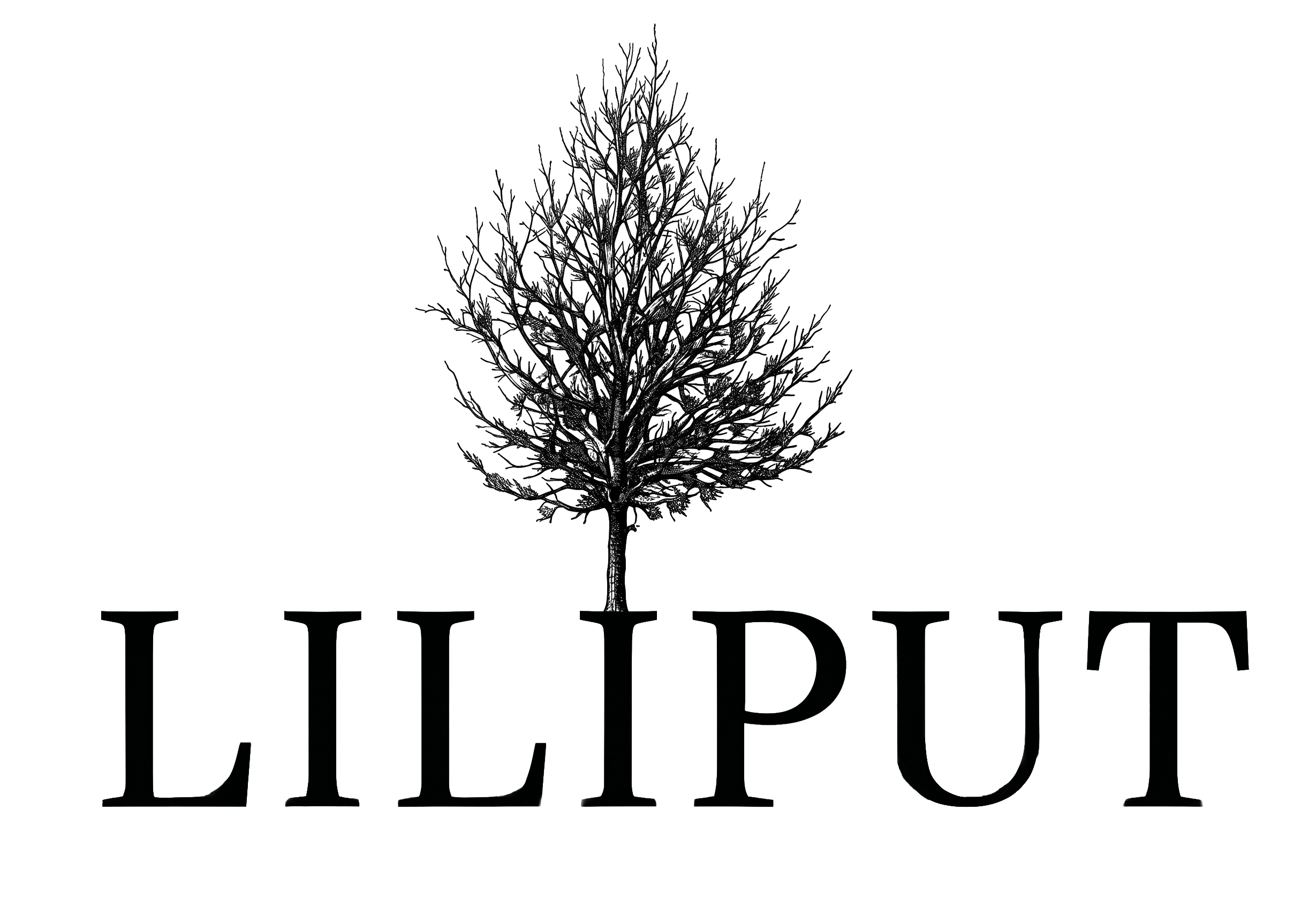 Liliput Inc
