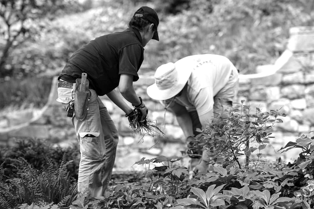 Mariani Premier Group team member
