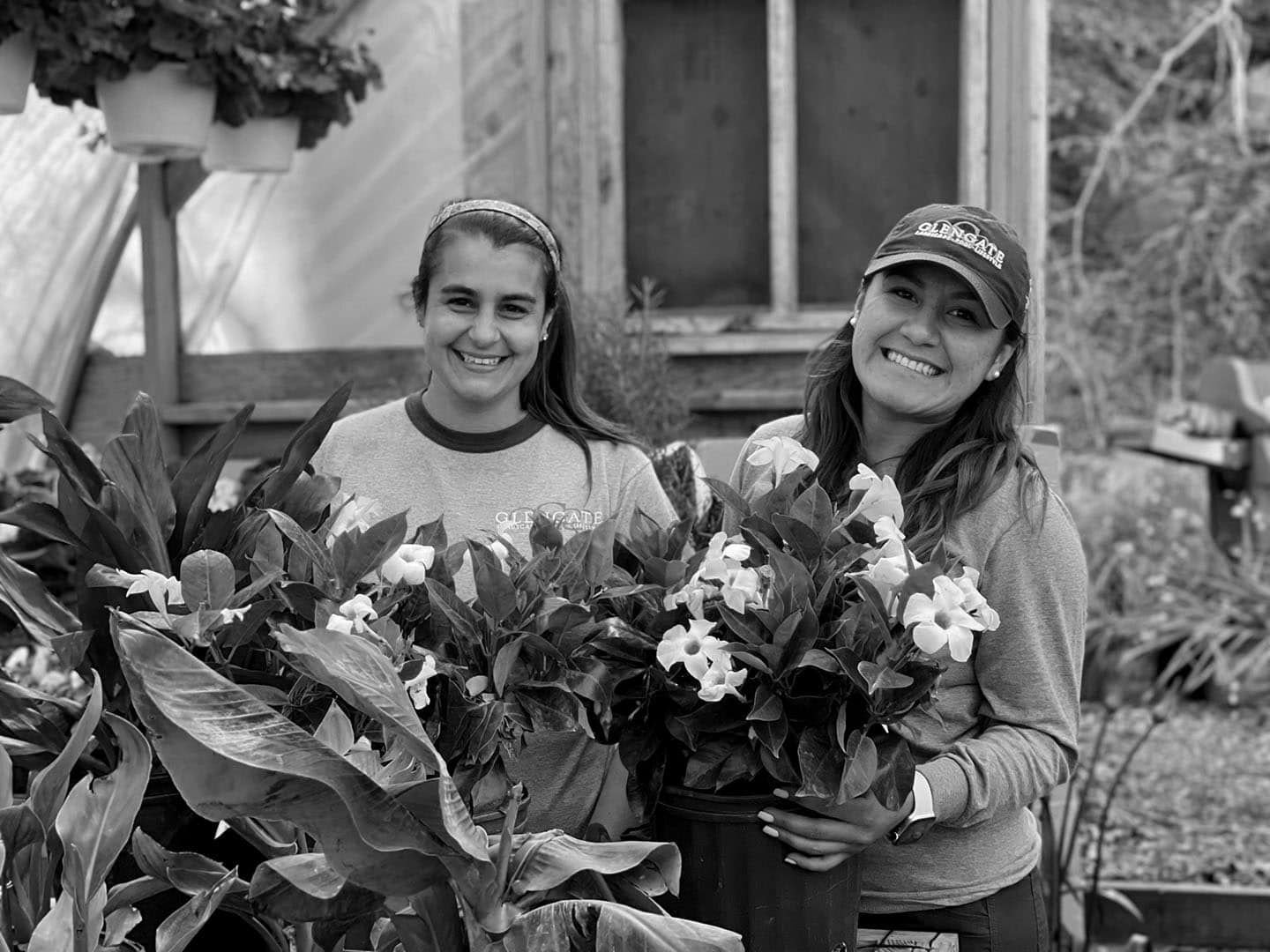 Team member working in a greenhouse